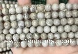 CFC330 15.5 inches 8mm round fossil coral beads wholesale
