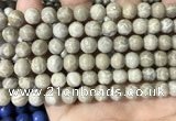 CFC332 15.5 inches 8mm round fossil coral beads wholesale