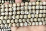 CFC333 15.5 inches 8mm round fossil coral beads wholesale