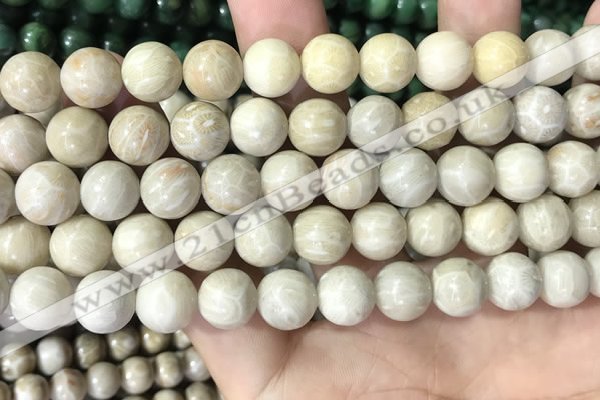 CFC335 15.5 inches 10mm round fossil coral beads wholesale