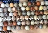 CFC342 15.5 inches 8mm round red fossil coral beads wholesale