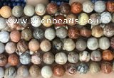 CFC343 15.5 inches 10mm round red fossil coral beads wholesale