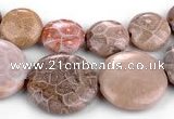 CFC53 15.5 inches flat round coral fossil jasper beads wholesale