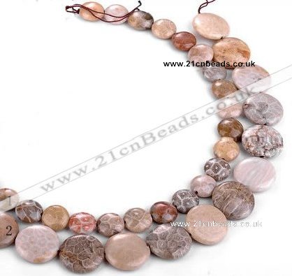 CFC53 15.5 inches flat round coral fossil jasper beads wholesale