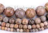 CFC55 15.5 inches round coral fossil jasper beads wholesale