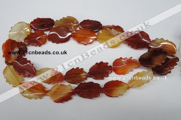 CFG280 15.5 inches 20*30mm carved leaf red agate beads