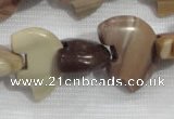 CFG796 12.5 inches 14*18mm carved animal jasper beads