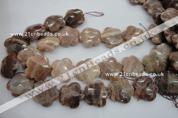 CFG931 15.5 inches 32*33mm faceted & carved flower moonstone beads