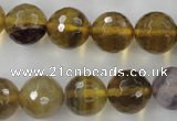 CFL456 15.5 inches 14mm faceted round rainbow fluorite beads