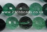 CFL66 15.5 inches 16mm faceted round A grade natural fluorite beads