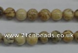 CFS02 15.5 inches 10mm round natural feldspar gemstone beads