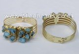 CGB826 30*68mm - 30*70mm druzy agate gemstone bangles wholeasale