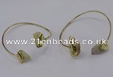 CGB902 12*16mm - 15*20mm freeform fish fossil bangles wholesale