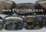 CGE03 15.5 inches 18*25mm rectangle glaucophane gemstone beads