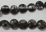 CGE122 15.5 inches 10mm flat round glaucophane gemstone beads