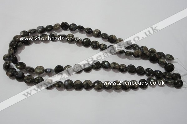 CGE122 15.5 inches 10mm flat round glaucophane gemstone beads