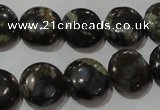 CGE124 15.5 inches 14mm flat round glaucophane gemstone beads