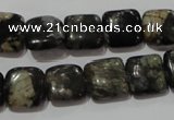 CGE152 15.5 inches 12*12mm square glaucophane gemstone beads