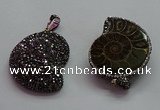 CGP1560 30*36mm - 35*45mm ammonite pendants wholesale