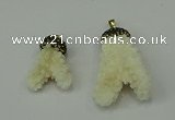 CGP209 25*30mm - 30*50mm freeform coral pendants wholesale