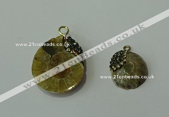 CGP270 15*18mm - 22*28mm ammonite pendants wholesale