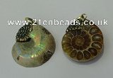 CGP271 25*30mm - 30*35mm ammonite pendants wholesale