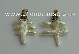 CGP548 25*35mm - 30*40mm freeform pearl pendants wholesale