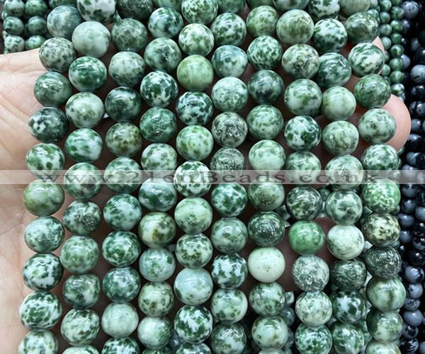 CGS602 15 inches 8mm round green spot stone beads wholesale
