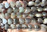 CHG363 15 inches 14mm faceted heart blood jasper beads