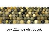 CHJ102 15 inches 8mm round honeybee jasper beads