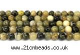 CHJ103 15 inches 10mm round honeybee jasper beads