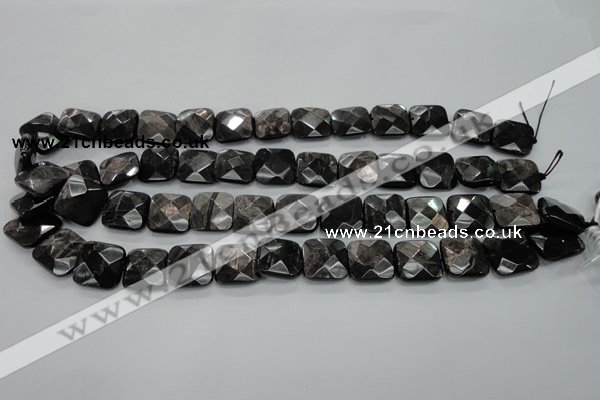 CHS27 15.5 inches 15*15mm faceted square natural hypersthene beads