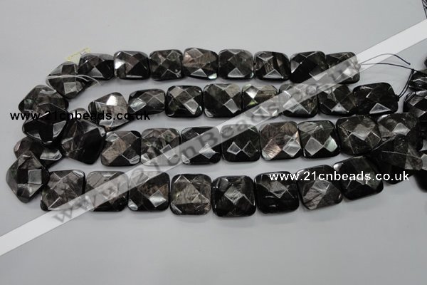 CHS28 15.5 inches 20*20mm faceted square natural hypersthene beads