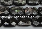 CHS37 15.5 inches 13*18mm faceted rectangle natural hypersthene beads