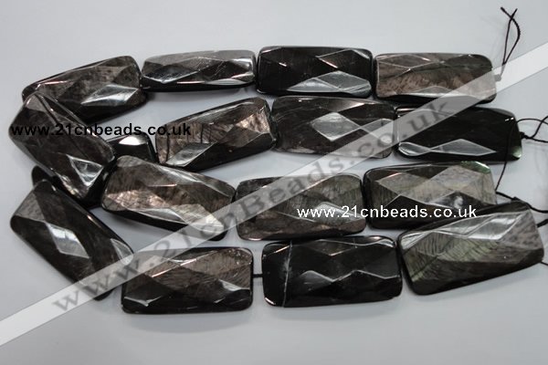 CHS42 15.5 inches 25*50mm faceted rectangle natural hypersthene beads