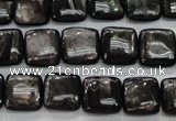 CHS81 15.5 inches 12*12mm square natural hypersthene beads