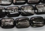 CHS91 15.5 inches 13*18mm rectangle natural hypersthene beads