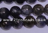 CIL02 15.5 inches 7mm round natural iolite gemstone beads