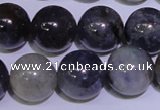 CIL05 15.5 inches 10mm round natural iolite gemstone beads