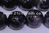 CIL06 15.5 inches 12mm round natural iolite gemstone beads