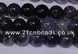 CIL10 15.5 inches 5mm round A grade natural iolite gemstone beads