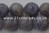 CIL103 15.5 inches 10mm round iolite gemstone beads wholesale