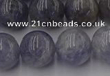 CIL104 15.5 inches 12mm round iolite gemstone beads wholesale