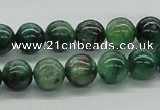 CKC102 16 inches 10mm round natural green kyanite beads