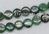 CKC107 16 inches 10mm flat round natural green kyanite beads wholesale