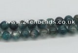 CKC16 16 inches 6mm round natural kyanite beads wholesale