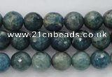 CKC223 15.5 inches 10mm faceted round natural kyanite beads wholesale