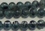 CKC472 15.5 inches 8mm round natural kyanite beads wholesale