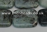 CKC54 15.5 inches 22*30mm rectangle natural kyanite beads wholesale