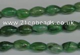 CKC70 15.5 inches 4*6mm rice natural green kyanite beads wholesale